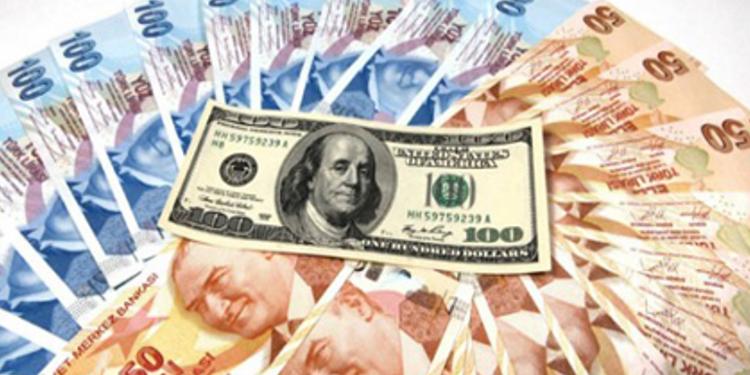 turkiyede-dollar-bahalasdi