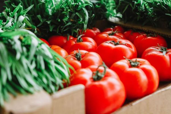 semkirde-pomidor-bollugu-problem-yaratdi-fermerler-narazidir