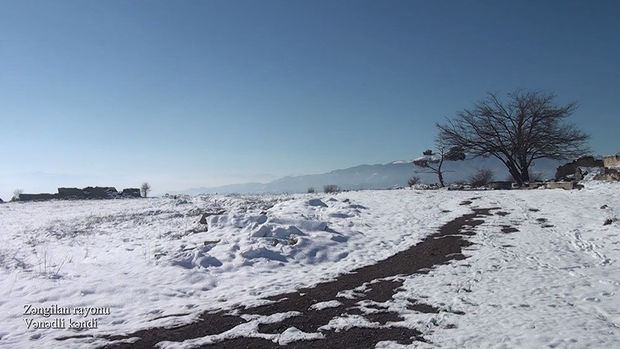 zengilanin-venedli-kendinden-goruntuler-video