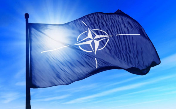 nato-zelenskinin-alyansa-qosulma-telebini-cavablandirdi