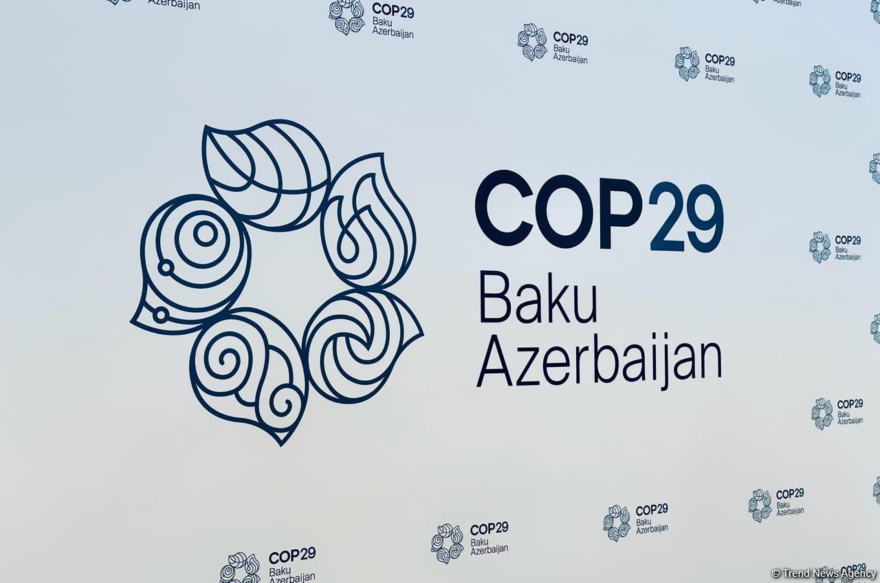 bas-katib-cvf-cop29-da-musbet-neticelerin-elde-edilmesine-tohfe-vermeye-hazirdir