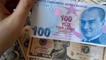 turkiyede-dollar-bahalasib