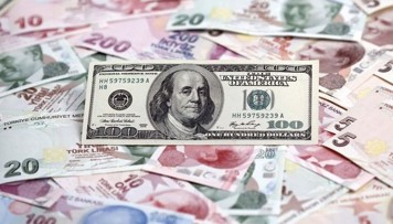 turkiyede-dollar-6-lireye-yaxinlasdi